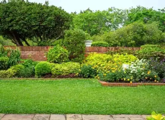 landscaping services Plum Springs